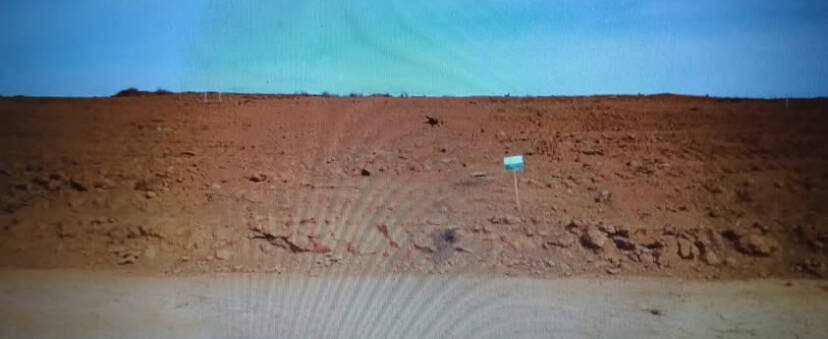 #1387 - Área para Venda em Caratinga - MG