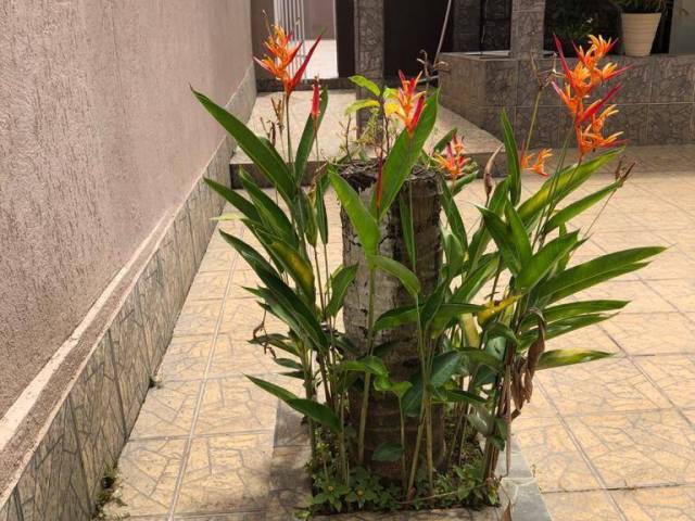 Casa para Venda em Bugre - 2