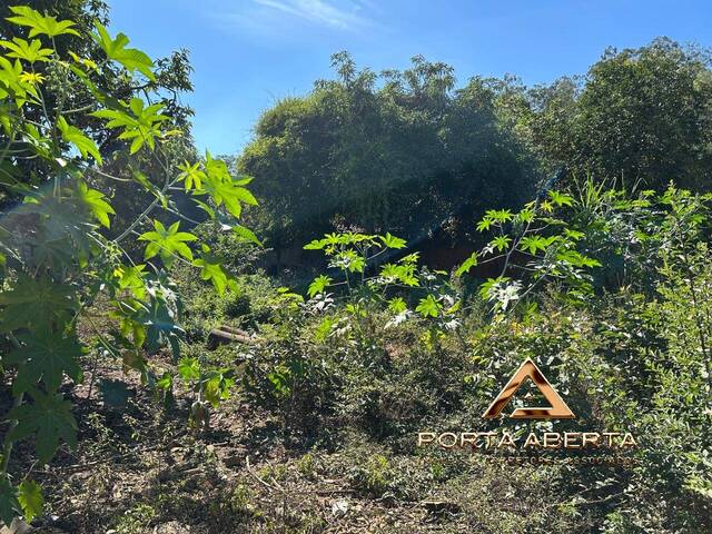 Área para Venda em Marliéria - 2