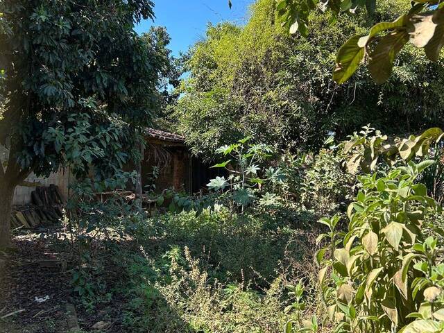 Área para Venda em Marliéria - 5
