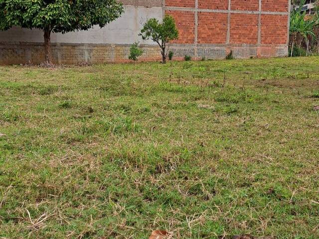 #1485 - Área para Venda em Ipaba - MG - 2