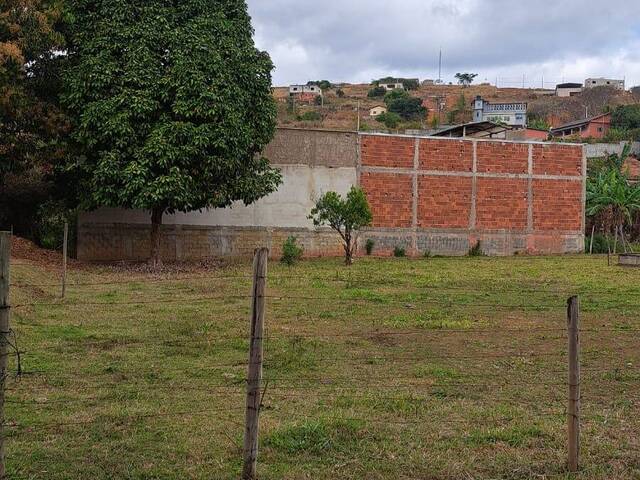 #1485 - Área para Venda em Ipaba - MG - 1