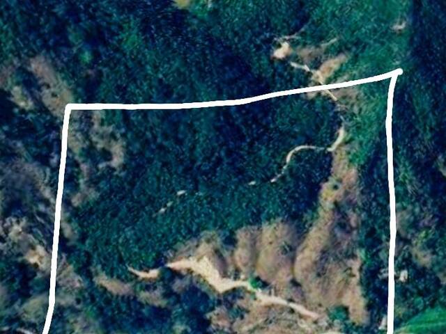 Área para Venda em Marliéria - 5